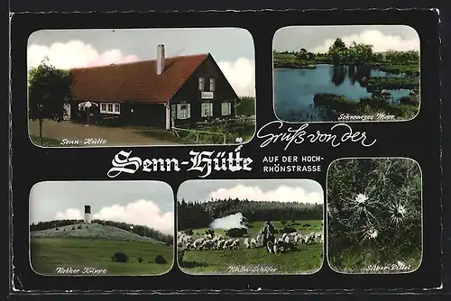 AK Leubach / Rhön, Senn-Hütte auf der Hochrhönstrasse, Schwarzes Moor, Rother Kuppe, Schäfer mit Herde