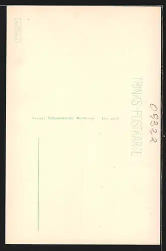 AK Penig / Sa., Rochsburg, vor der Zugbrücke