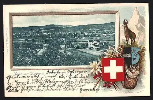 Passepartout-Lithographie Zofingen, Panoramablick auf die Ortschaft, Gemse und Wappen