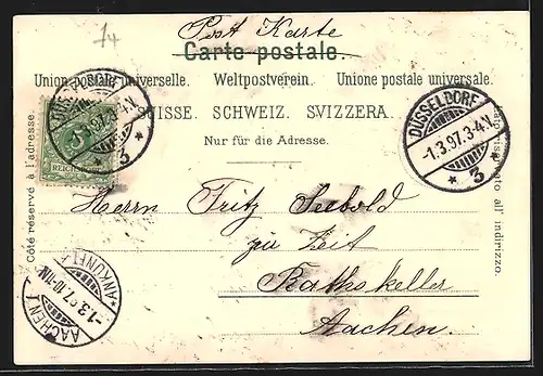 Lithographie Zürich-Dolder, Waldhaus Dolder, Totalansicht