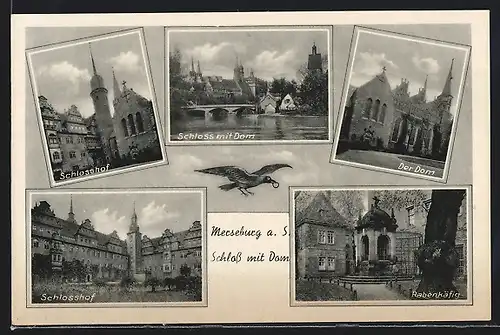 AK Merseburg a. S., Schloss mit Dom, Schlosshof, Rabenkäfig