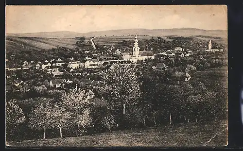 AK Myjava, Panorama von einem Berg aus