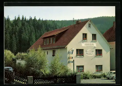 AK Steinwiesen im Frankenwald, Pension Mühlhans