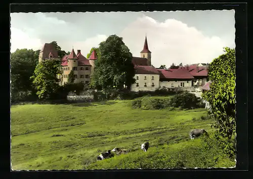 AK Wildenreuth /Opf., Schloss mit Kirche