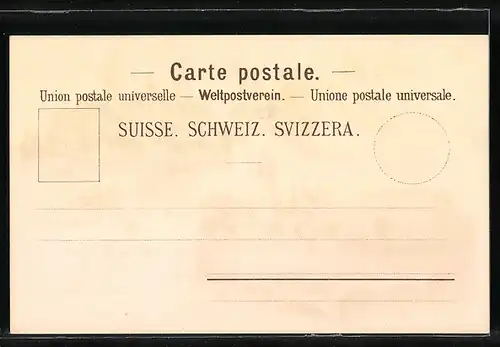 Lithographie Zürich, Bahnhof, neue Tonhalle, Schweizerisches Landesmuseum, Reklame f. Hoffmanns Stärkefabriken Salzuflen