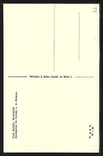 Künstler-AK Ulf Seidl: Wachau, Steinertor in Krems