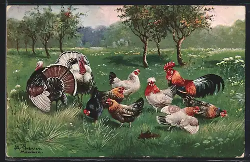 Künstler-AK Alfred Schönian: Truthähne und Hühner auf Nahrungssuche