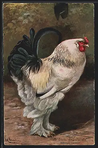 Künstler-AK Alfred Schönian: weisser Hahn mit schwarzen Schwanzfedern