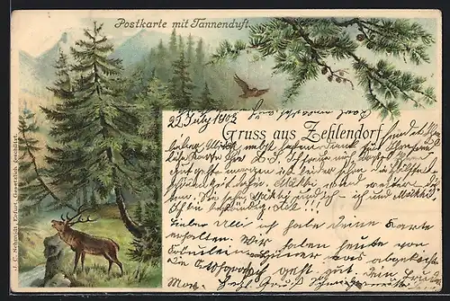 Duft-AK Berlin-Zehlendorf, Waldidylle mit brüllendem Hirsch, Tannenduft