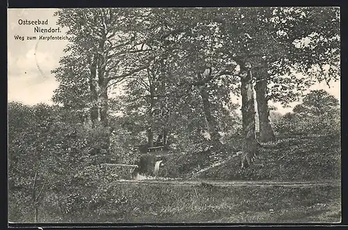 AK Niendorf / Ostseebad, Weg zum Karpfenteich