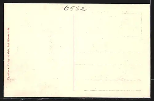 AK Bad Münster a. Stein, Gesamtansicht