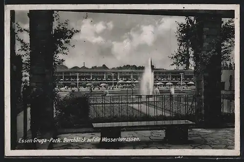 AK Essen, Ausstellung GRUGA, Durchblick auf die Wasserterrasse, Gruga-Park