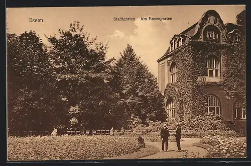 AK Essen, Stadtgarten, am Rosengarten