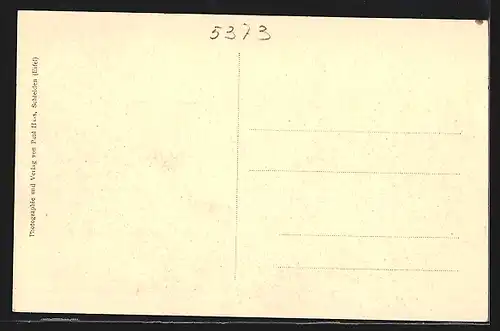 AK Gemünd / Eifel, Totalansicht