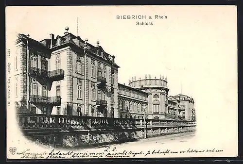 AK Biebrich / Rhein, Schloss