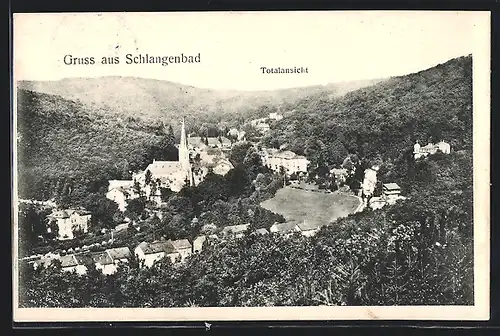 AK Schlangenbad, Totalansicht