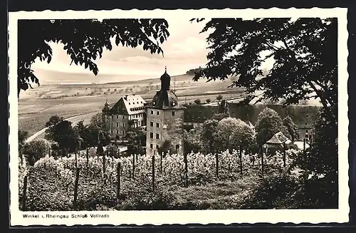 AK Winkel i. Rheingau, Schloss Vollrads