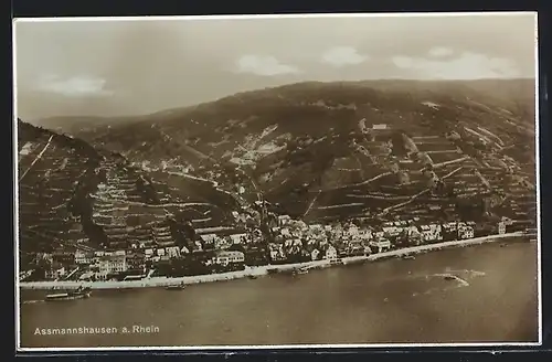 AK Assmannshausen / Rhein, Panorama, Luftbild