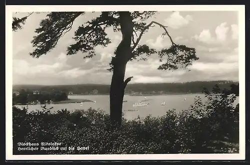 AK Berlin-Wannsee, Nikolskoe, Blick auf die Havel