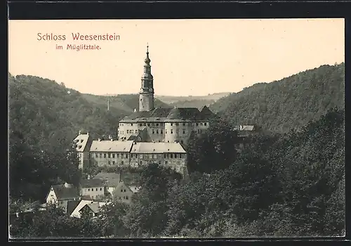 AK Weesenstein / Müglitztale, Blick auf das Schloss