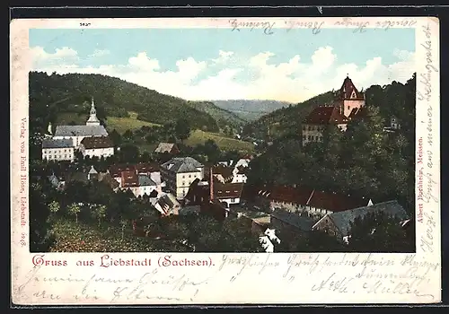 AK Liebstadt / Sachsen, Teilansicht mit Schloss