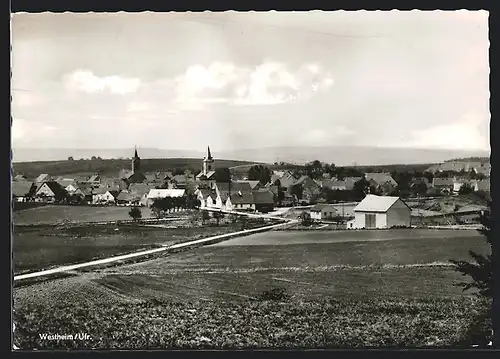 AK Westheim / Ufr., Panorama