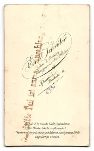 Fotografie Emil Schröter, Spandau, Breite-Str. 32, mit Puffärmeln und Buch