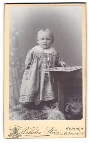 Fotografie Wilhelm Stein, Berlin, Chausseestr. 66, Blondes Kleinkind in kariertem Rüschenkleid