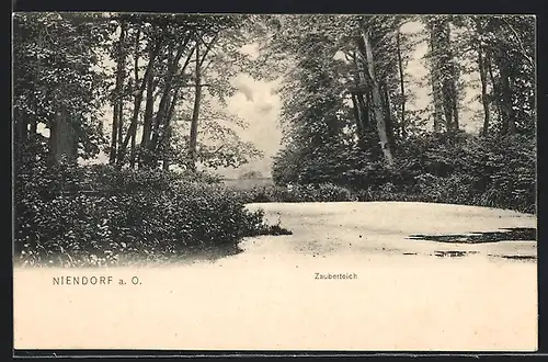 AK Niendorf, Partie am Zauberteich