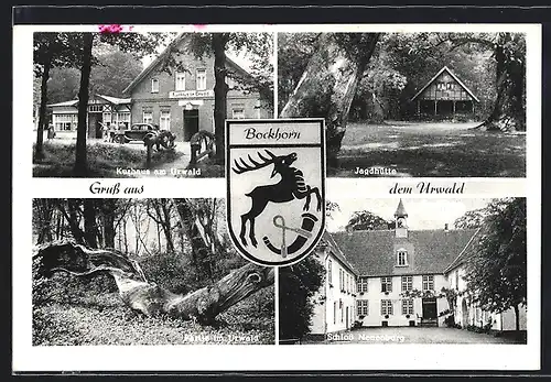 AK Bockhorn, Kurhaus am Urwald, Schloss Neuenburg, Jagdhütte