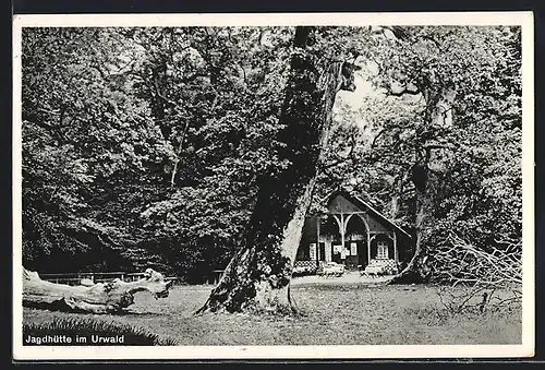 AK Neuenburg, Jagdhütte im Urwald