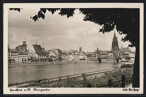 AK Frankfurt a. M., Mainpartie mit Stadtblick