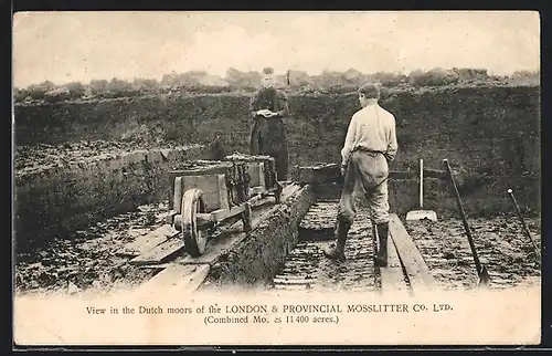 AK Dänemark, Arbeiter bei der Torfgewinnung, London, London & Provincial Mosslitter Co. Ltd., 6, Broad Street Ratcliff