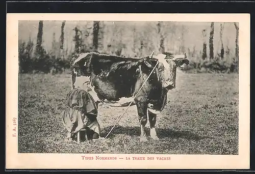 AK Normandie, Types Normandes, La Traite des Vaches
