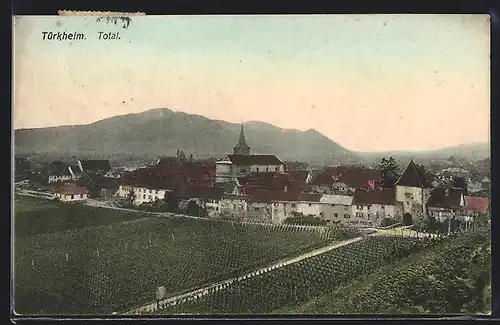 AK Türkheim, Totalansicht