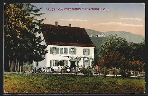 AK Sulz, Gasthaus Forsthaus Thierenbach mit Gästen und Umgebung