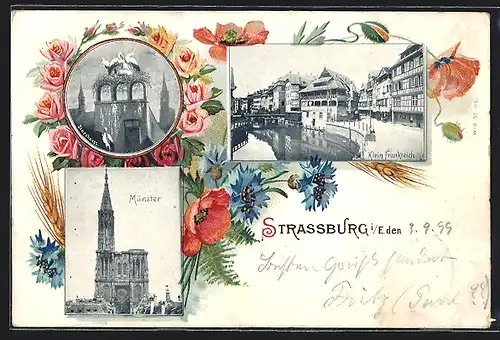 Lithographie Strassburg, Münster, Storchennest, Klein-Frankreich