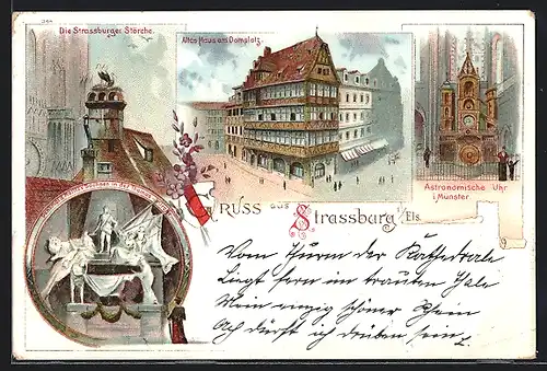 Lithographie Strassburg i. Els., Denkmal Moritz v. Sachsen, Strassburger Störche, altes Haus am Domplatz