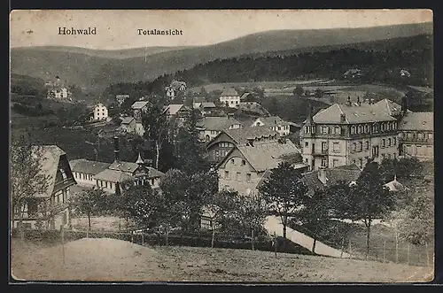 AK Hohwald, Vue générale, Totalansicht