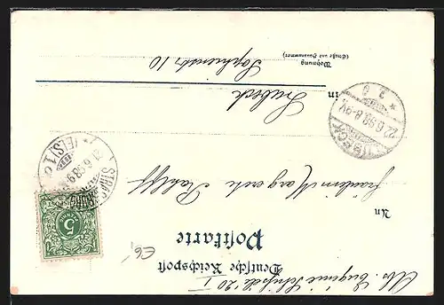 Lithographie Strassburg, Münster, Elsässerin, Altes Haus