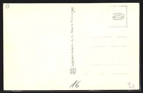 AK Wien, Blick auf den Kai, Strassenbahn