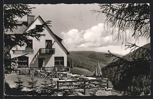 AK Schwalefeld /Willingen, Gästehaus Hubertus E. Werning