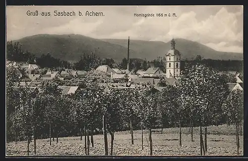 AK Sasbach b. Achern, Ortspartie mit Hornisgrinde