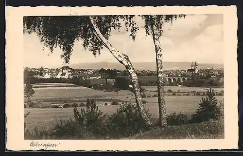 AK Oehringen, Ortspartie mit Birken