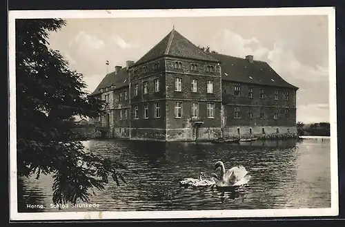 AK Herne, Schloss Strünkede mit Schwänen