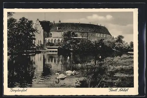 AK Burgsteinfurt, Fürstliches Schloss mit Schwänen