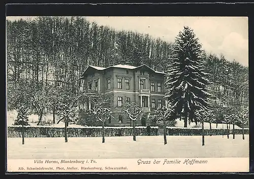 AK Blankenburg i. Th., Villa Harms im Winter