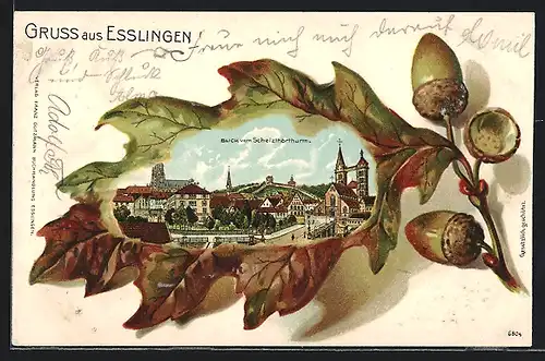 Passepartout-Lithographie Esslingen, Blick vom Schelzthorthurm, gerahmt von einem geprägten Eichenblatt