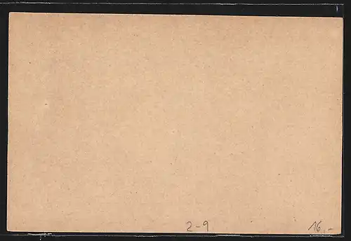 AK Private Stadtpost Privatbriefbeförderungs-Anstalt Mercur, 2 Pfennig