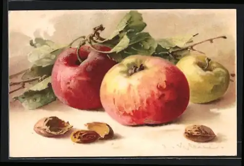 Künstler-AK Catharina Klein: Stillleben mit Äpfeln und Nüssen